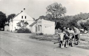 Jak se&nbsp;bavila veletská chasa