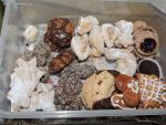 dscn8238.jpg