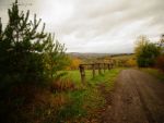 dsc00932.jpg