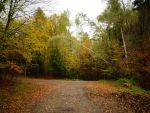 dsc00963.jpg