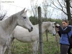 dscn7959.jpg