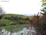 dscn7984.jpg