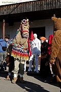 015_8096.jpg