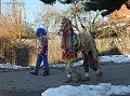dscf0817.jpg