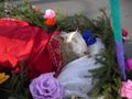 hody_2006_10.jpg