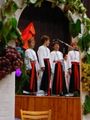 hody_2007_41.jpg
