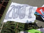 dscn1131.jpg