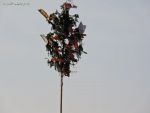 dscn1320.jpg