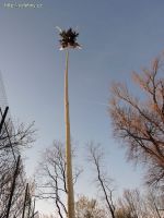 dscn3637.jpg