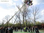 img_6786.jpg