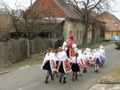 img_9881u.jpg