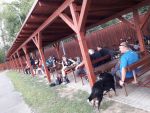 20170910_121726.jpg