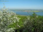 dscn2556.jpg