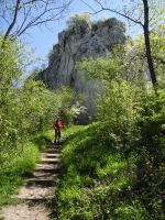 dscn2611.jpg