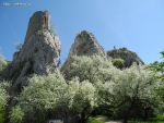 dscn2635.jpg