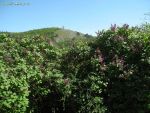 dscn2652.jpg