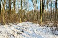 014_7389.jpg