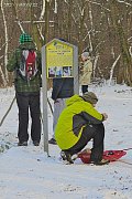014_7411.jpg