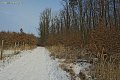 014_7415.jpg