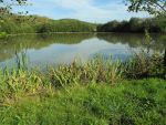 dscn4545.jpg