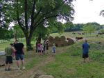 img_20210612_142610.jpg