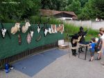 img_20210612_142021.jpg