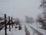 dscn8562.jpg