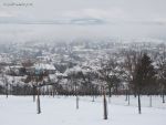 dscn8565.jpg