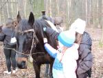 dscn1088.jpg