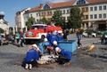 dsc06335.jpg