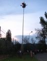 maj_2010_14.jpg