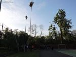 dscn1441.jpg