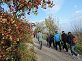 dscn1547.jpg