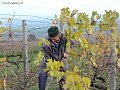 dscn1552.jpg