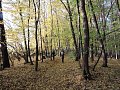 dscn1569.jpg
