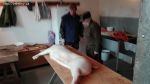 img-20180205-wa0001.jpg