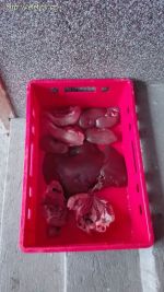img-20180205-wa0024.jpg