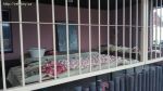 img-20180205-wa0026.jpg