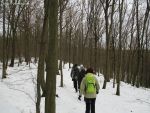 img_0226.jpg