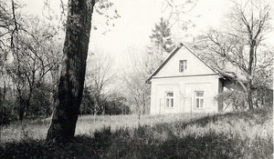 niederle01.jpg