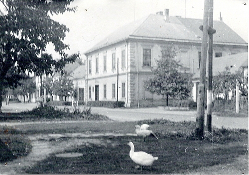Náves