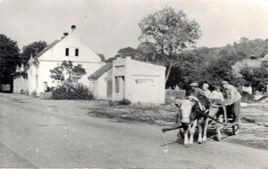 trafika.jpg